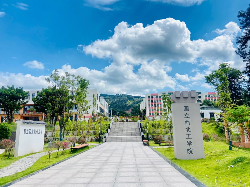 杨仁琴