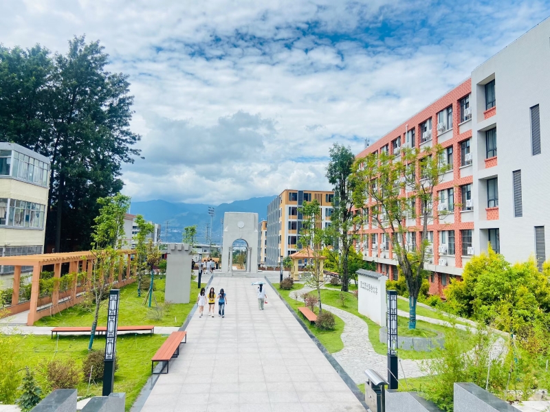 杨仁琴2